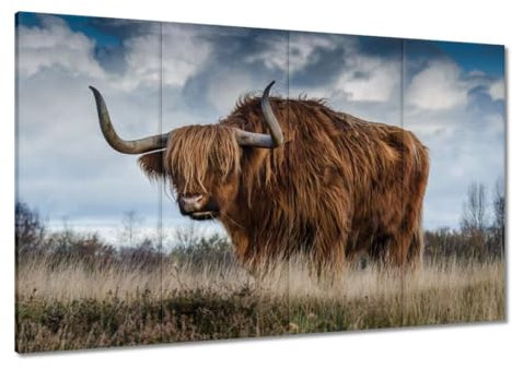 Generisch Gemälde gedruckt auf Leinwand, Wandkunst, Dekoration, 120 x 80 cm, schottisches Hochlandrind Nr. H10032M_PC4A