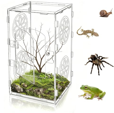 AXVRAV Acryl Reptil Terrarium 30x15x15 cm, 360° Transparente Reptilien Faunabox, Atmungsaktiv Reptilien Aufzuchtbox, Reptiliens Fütterungsbox für Gottesanbeterin Eidechsen Schnecken Spinnen Geckos