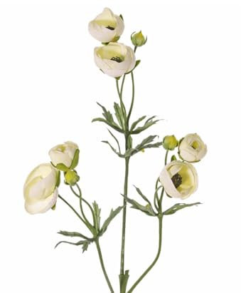 Ranunkel Kunstblume 65cm hoch mit 6 Creme farbenen Blüten und 3 Knospen - ideal für Blumenstrauß