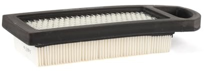 Briggs & Stratton 794422 Air Filter Cartridge