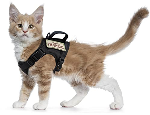 Taktisches Katzengeschirr für Spaziergänge, ausbruchsicher, weiches Netzmaterial, verstellbar, für große Katzen und kleine Hunde, Größe M, Schwarz