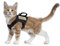 Taktisches Katzengeschirr für Spaziergänge, ausbruchsicher, weiches Netzmaterial, verstellbar, für große Katzen und kleine Hunde, Größe M, Schwarz
