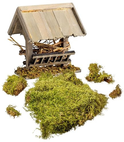 Set aus Futterkrippe und Moos für Weihnachtskrippe – Handgefertigte Holzkrippe ca. 10 x 10 cm mit Moosbegrünung, Krippenzubehör, Krippenbedarf für Modellbau und Miniaturwelten