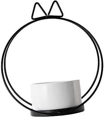 HEMOTON Kreativer Sukkulententopf Im Katzenohr-Design Für Schreibtisch Exquisites Halter Für Sukkulentenpflanzen Aus Hochwertigen Materialien Mit Langer Lebensdauer