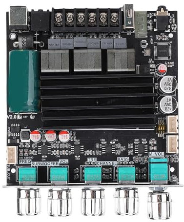 SUNGOOYUE 5.1 Amplificatore Scheda Amplificatore Potenza Modulo AMP AMP 2.1 Canale 100W+100W+200W con Porta Subwoofer per INGRESSO USB AUX