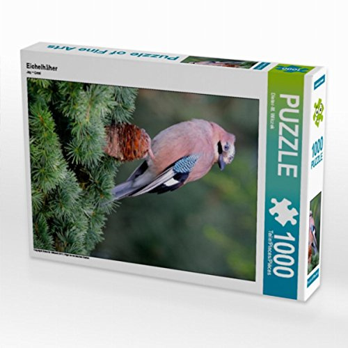 CALVENDO Puzzle Eichelhäher | 1000 Teile Lege-Größe 48 x 64 cm Foto-Puzzle für glückliche Stunden