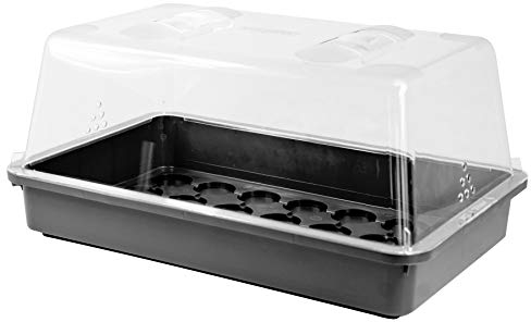 mgc24 Zimmergewächshaus Greenhouse - Anzuchtschale mit Deckel und Belüftung - Schwarz