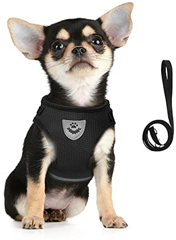 FEimaX Hundegeschirr für Hunde, Weich Mesh Gepolstert Welpengeschirr und Leinen Set Reflektierende Verstellbare Atmungsaktive Brustgeschirr für Gehen, Laufen, Training