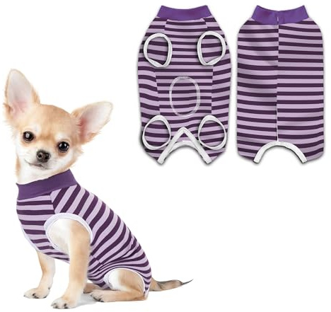 PawSailor Combinaison de récupération pour Chien Femelle et Mâle Violet XS