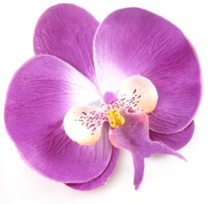 Boolavard® TM Orchidee Blume Haar Clip Braut Hawaii Party-Girl (lila)