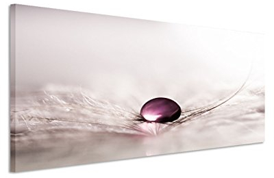 Paul Sinus Art 150x50cm Leinwandbild auf Keilrahmen Pusteblume Wassertropfen Nahaufnahme abstrakt Wandbild auf Leinwand als Panorama