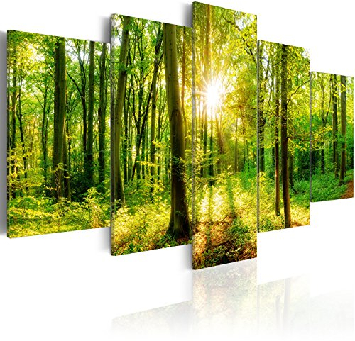 B&D XXL - Akustikbild 225x112 cm Bilder mit Akustikschaumstoff Hochleistungsschallabsorber Schallschutz Leinwandbild XXL 5 tlg Wandbild c-B-0186-b-m