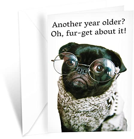 Prime Greetings Lustige Geburtstagskarte mit Mops, hergestellt in Amerika, umweltfreundlich, dicker Karton mit Premium-Umschlag, 12,7 x 19,7 cm, verpackt in schützender Versandtasche