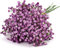 N&T NIETING Gypsophila Künstliche Blumen, 10 Stück Gypsophila Kunstblumen Schleierkraut Gefälschte Blumen Blumensträuße für Hochzeit Braut Party Home Decor (Lila)
