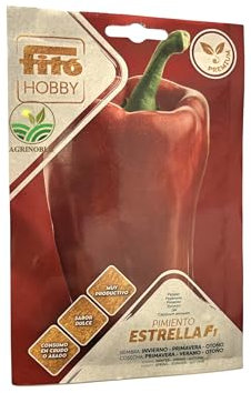 Semillas de pimiento morron Hibrido F1 Estrella Sobre 60 uds