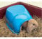 Savic Iglu Hase Zwerg 35x27x16cm