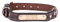 Hundehalsband verstellbar für große kleine Hunde Haustier Pet Halsbänder Dog Collar mit Namen Telefonnummer Hundemarke Adresse Individuell selbst Gestalten Kragen Hund mit hundeleine als Geschenk