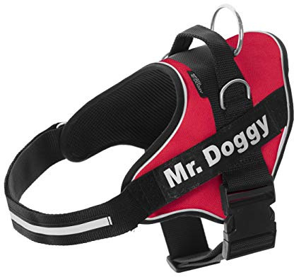 MR. DOGGY Personalisiertes Hundegeschirr - Reflektierendes und sicheres Hundegeschirr - Enthält 2 Namensschilder - Klein, Mittel und Groß - Qualität und Beständigkeit (Rot, XXS 1,5-3,5KG)