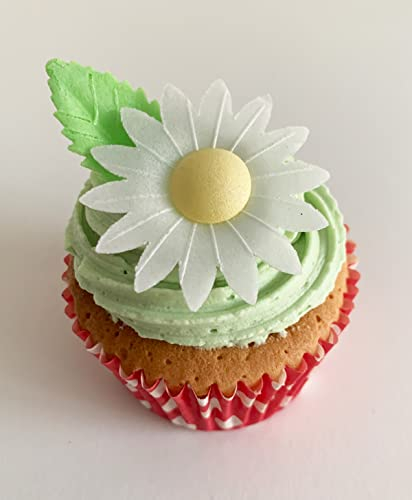 Holly Cupcakes 12 Gorgeous White Edible Wafer Daisies & 12 Pretty Leaves