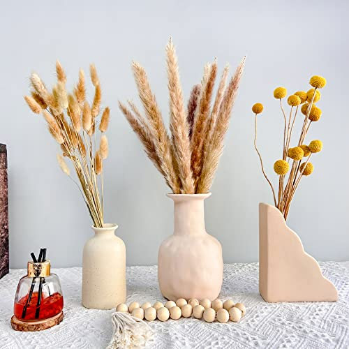 Pampasgras Trockenblumen Deko,55 Stück Natürliche Flauschige Pampasgras Getrocknete Set, Getrocknete Blumen für Boho Deko Wohnzimmer Tischdeko Flur Schlafzimmer Hochzeit Trockenblumenstrauß (Style 9)