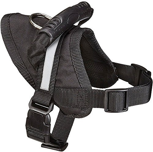 Guardian Gear Excursion Dog Harness, Large, Fits Chests 27 to 36, Black