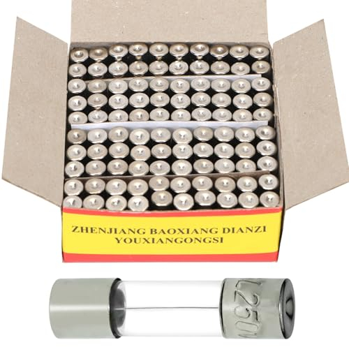 Fusible en verre 20 A 250 V Assortiment de fusibles 5 x 20 mm pour différents appareils d'éclairage et produits électroniques