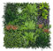 Artificial Plant Flower Living Wall Panels Realistic- Indoor/Outdoor - 1m x 1m Privacy Living Wall Fence Screening (PQ59)