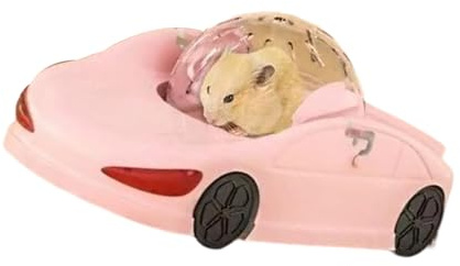 Leiser Hamster Laufauto Spielzeug Lustiges klares Fitnessrad Fahrzeug fördert aktive Spielzeiten für kleine Haustierbesitzer Hamsterspielzeug
