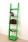 Wandregal Hängeregal BücherRegal Lounge Regal CD Grün LK181Z