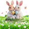 xinrongda Osterdeko Outdoor, Gartenstecker Osterhasen Ostern Deko, Frühlingsdeko Draußen, Gartenstecker Frühling Osterdeko Outdoor, Acryl Ostern Hase Garten Stecker für Draußen und Drinnen Gartendeko
