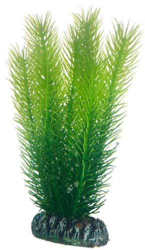 Hobby 51585 Mayaca, 16 cm