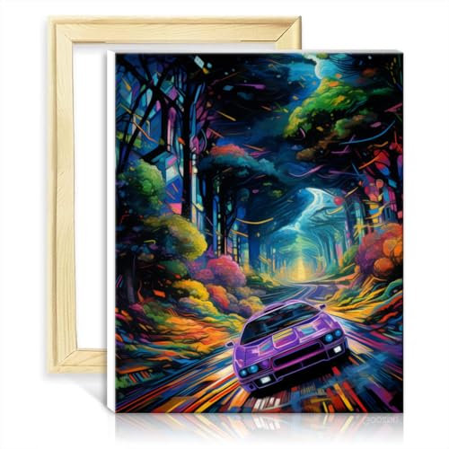 TANGFEIY Kits peinture à l'huile par numéros voitures sport Peinture par numéro Kits peinture par numéro pour adultes 3 pinceaux et peintures acryliques pour cadre (40x50cm)