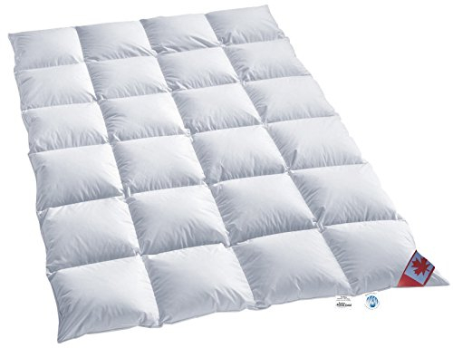 Canada warmes Winter 4-cm Daunen Kassettenstegbett Daunenbett Canada 100% Daune 100% Natur Daunendecke 200x220 cm direkt vom Bettenfachgeschäft