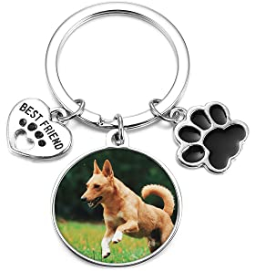 PiercingJak Personalisierte Schlüsselanhänger mit Gravur Foto Wunschtext Hund Katze Pfote Memorial Asche Urnen Flasche Anhänger Andenken Erinnerung Schmuck Individuelle Geschenke für Unisex