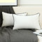 LIGICKY 2er Set Luxus Dekorative Kissenbezug Samt Weich Zierkissenbezüge Einfacher Rechteckiges Lendenkissen Kissenbezüge Deko Sofakissen für Wohnzimmer Couch Schlafzimmer Auto, Weiß 30 x 60 cm