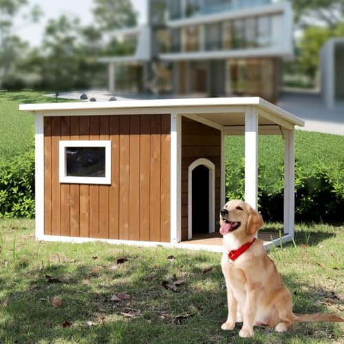 HJYryhyfddply Hundehütte aus Holz für Den Innenbereich, Hundehütte Aus Massivholz mit Asphaltdach und Großer Veranda für Kleine Bis Große Hunde Im Außenbereich