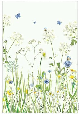 Eddingtons Butterfly Patterned Organic Cotton Tea Towel/Dish Cloth - Eco-Friendly National Trust Nature Collection Kitchen Linens