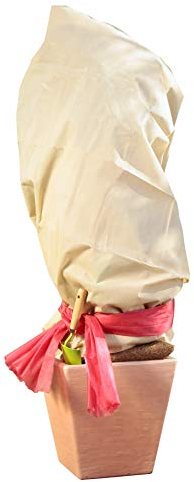 Windhager Winter-Vlies Superprotect, Kälteschutz, Frostschutz für Pflanzen und Bäume, Abdeckvlies, Winterschutzhaube, 1,5 x 3 m, beige