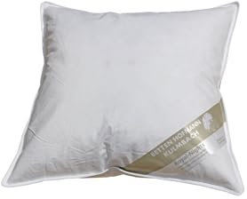 Hofmann Kopfkissen 50x50 Kleinkissen Kissen Federkissen 550 g prall 30% Daunen