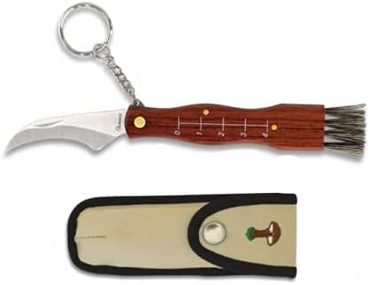 Tucuman Aventura -Fungo Coltello