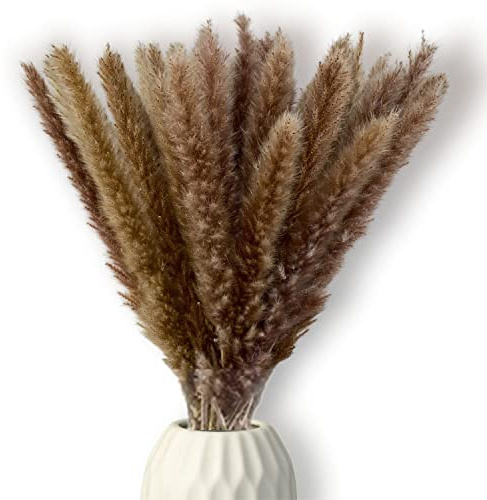 Pampasgras Deko braun 65-70cm lang Trockenblumen groß I Boho Deko I getrocknete Blumen I Tischdeko I Dekozweige für Trockenblumenstrauß I echte Dekoblumen I Pampas I Deko Blumen