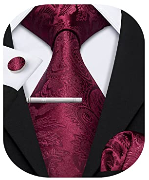 Barry.Wang Herren Seiden-Paisley-Krawatten mit Taschentuch Manschettenknopf Krawattenset Feierliche Hochzeit 3PCS
