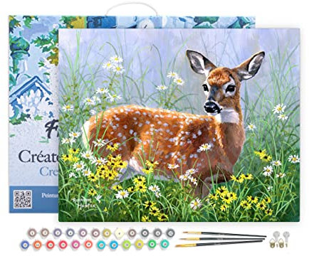 Figured'Art Malen Nach Zahlen Erwachsene Mit Rahmen Reh auf der Wiese - Paint by Numbers Basteln DIY Bastelset 40x50cm Leinwand gespannt auf Holzrahmen