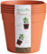 Clever Pots Easy Release Plastic Plant Pots, Pack of 5, Large Plant Pots, Outdoor or Indoor Flower Pot Garden Planters, Lightweight & Weather Resistant for Outside Flowers & Plants, Terracotta