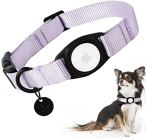Babole Pet AirTag Hundehalsband für große Welpen, 11 Farben, integriertes GPS-Halsband aus Nylon mit robuster Schnappschnalle, Hunde-Tracker für Apple iPhone, kleine und mittelgroße Jungen, Mädchen