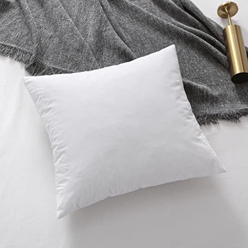 Homespace Direct 100% Duck Feather Cushion Inner Insert Pad Scatter 100% Cotton Cover (1, 22x22 (56x56cm))