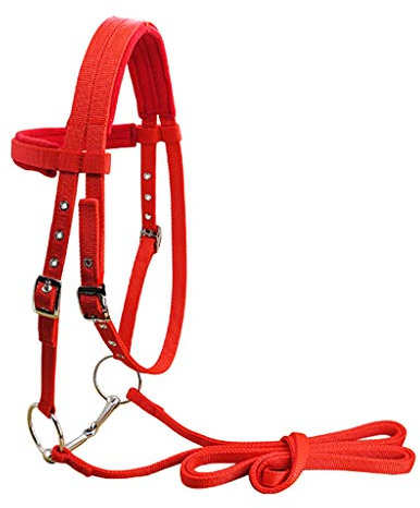 KBOLAE Zaumzeug, Zaumzeug, Halter, abnehmbare Trense, Nylongewebe, Rot, L
