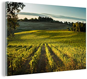 MuchoWow Glasbild Glasfoto Wandbild Bilder Deko 150x100 cm Toskana - Landschaft - Wein