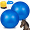 Sotiff Pferdeball für große Pferde, 101,6 cm, zum Spielen, für große Pferde, Anti-Burst, Hundeball, Fußball, riesig, Pumpe im Lieferumfang enthalten (101,6 cm, blau), 2 Stück