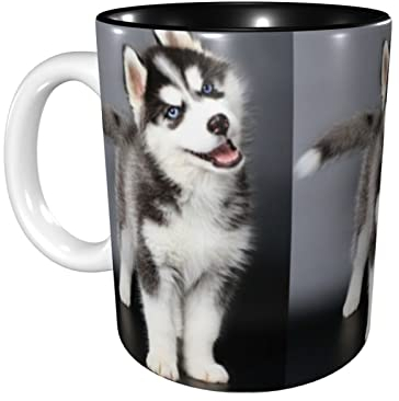Lsjuee Cute Dog Coffee Mugs 11 OZ Taza de cerámica para la oficina y el hogar Water Tea Mug Cup inside Black